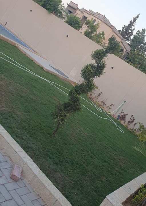 Photo of Others in Qetaa Maryout