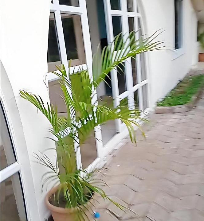 Photo of Others in Asaba