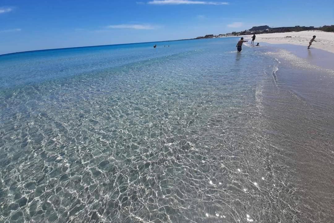 Photo of Others in Tunisia