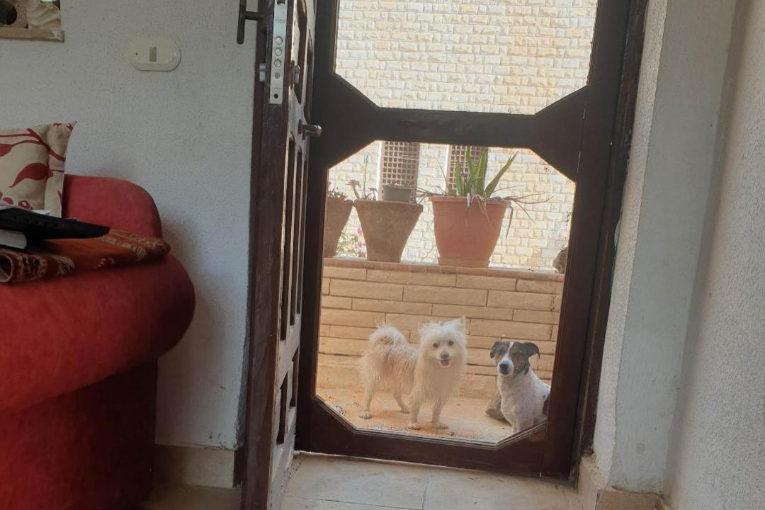 Photo of Others in Marina El Alamein