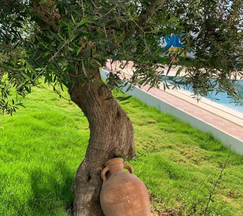 Photo of Others in Midoun
