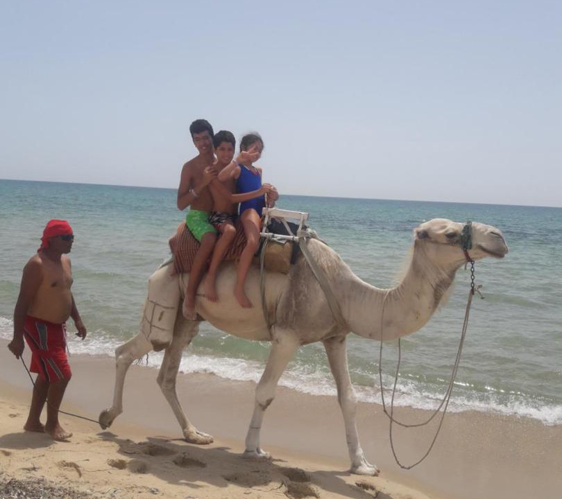 Photo of Others in Cite El Wafa