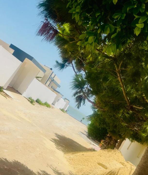 Photo of Others in Sakiet Eddaier