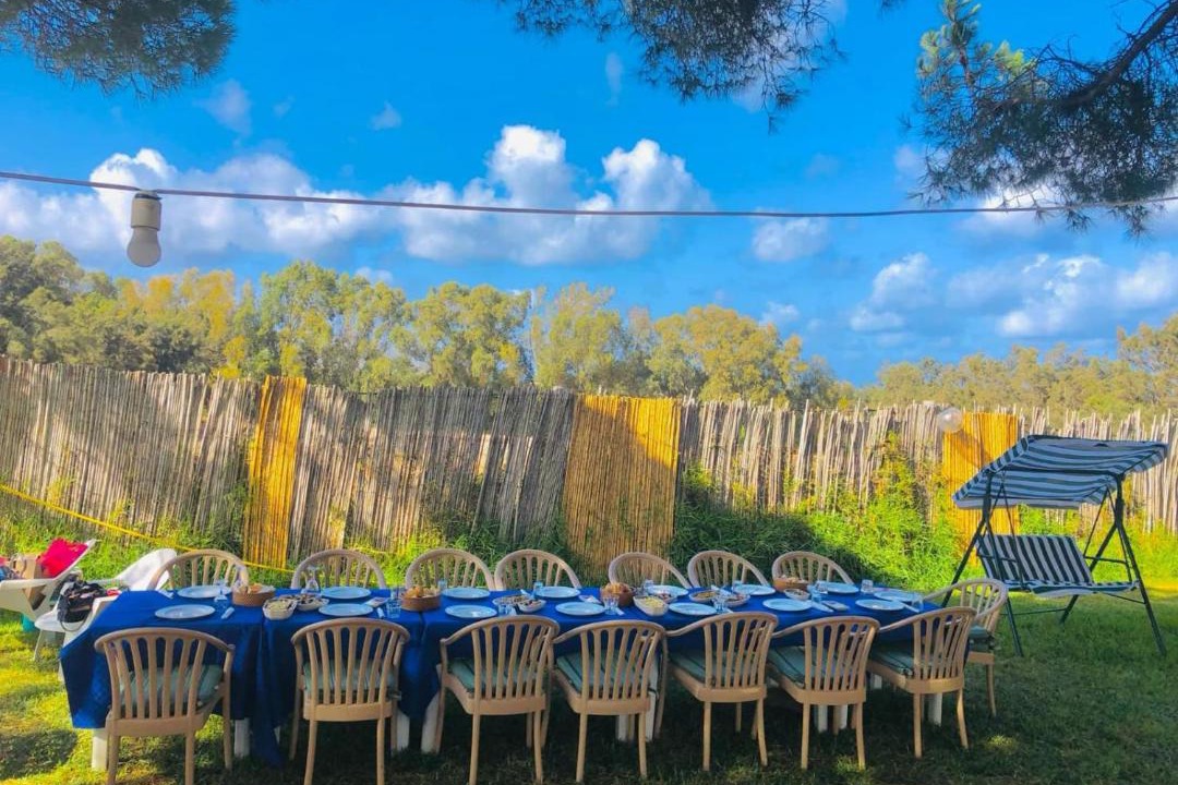 Photo of Others in El Haouaria