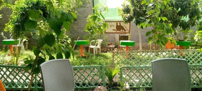 Photo of Others in El Bour