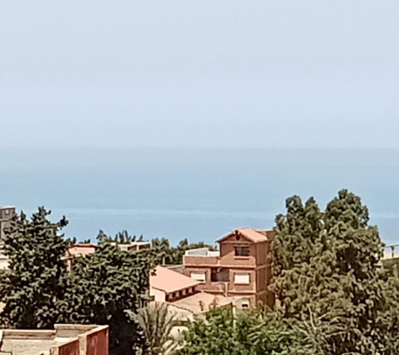 Photo of Others in Tipaza Province