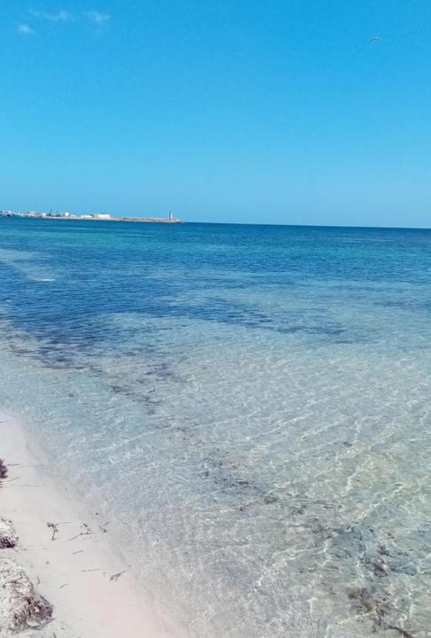 Photo of Others in Kelibia