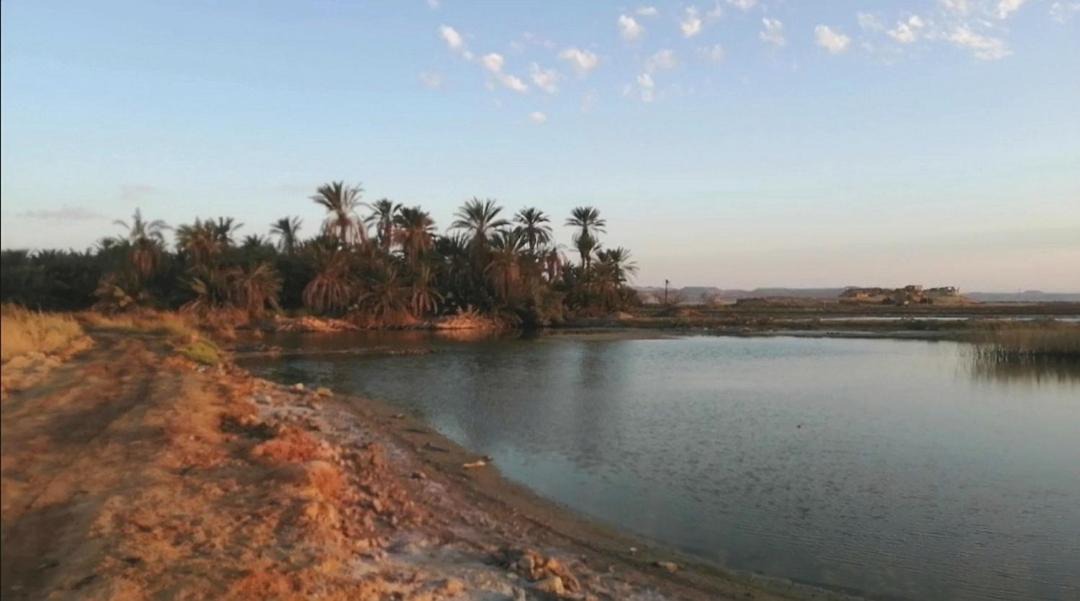 Photo of Others in Siwa