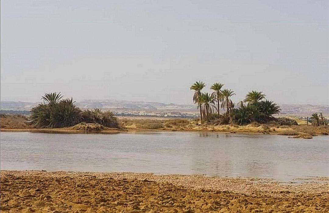 Photo of Others in Siwa