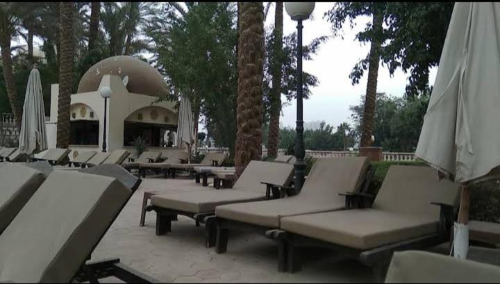 Photo of Others in Az-Zohur