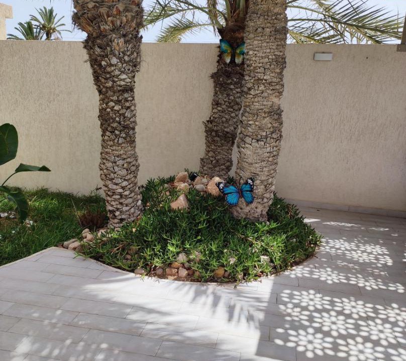 Photo of Others in Sidi Salem