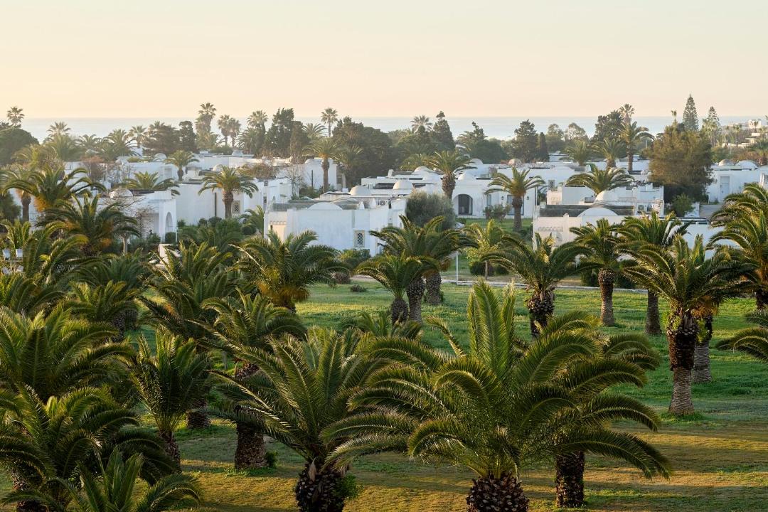Photo of Others in Hammamet