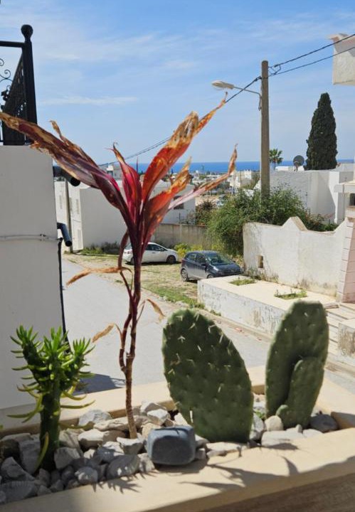 Photo of Others in Tunisia