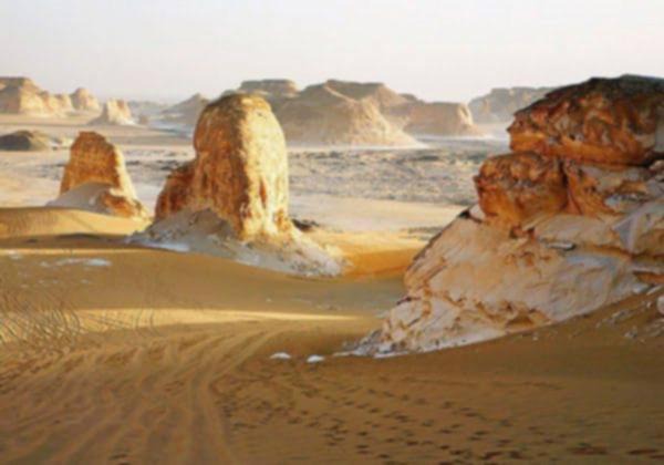 Photo of Others in Bawati