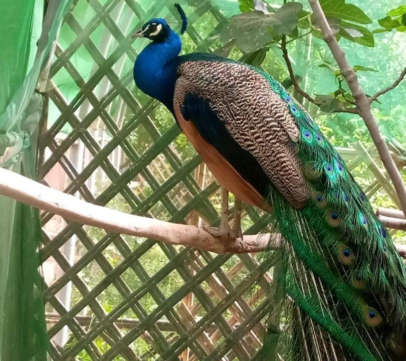 Photo of Others in El Bour