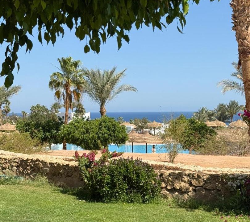 Photo of Others in Sharm El Sheikh