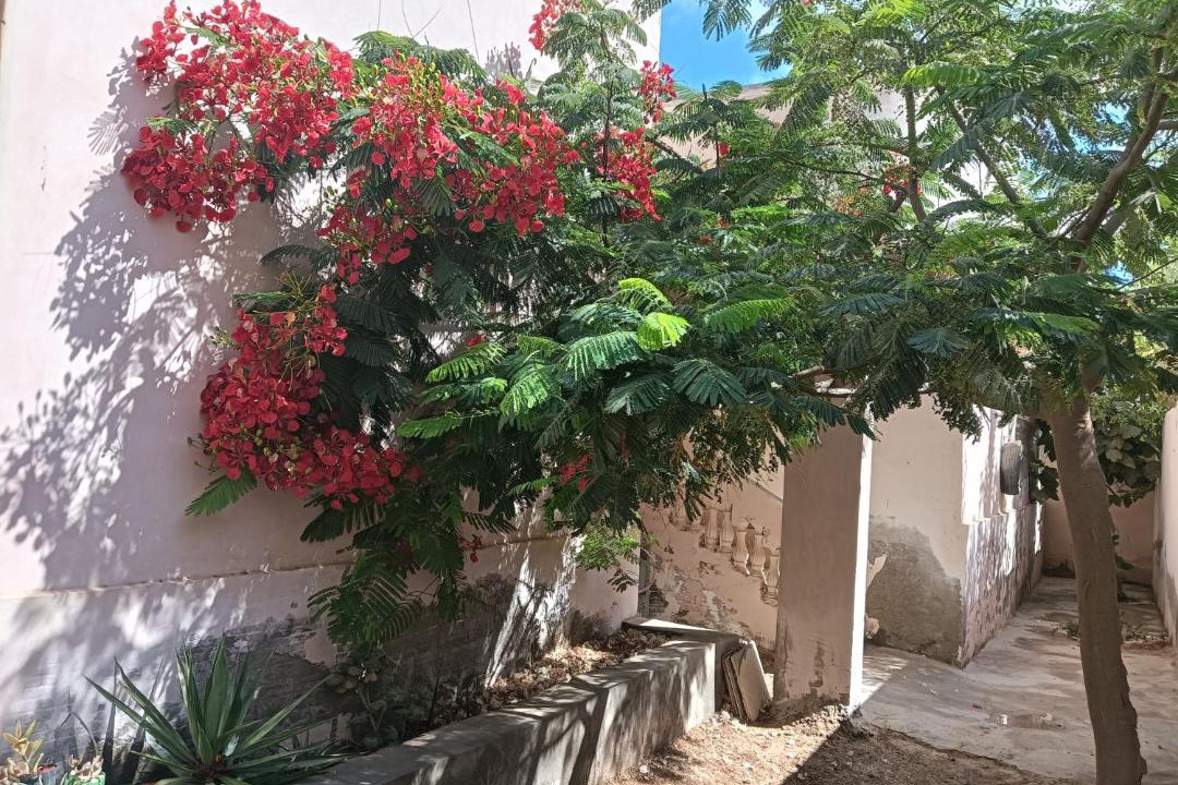 Photo of Others in Marsa Matruh