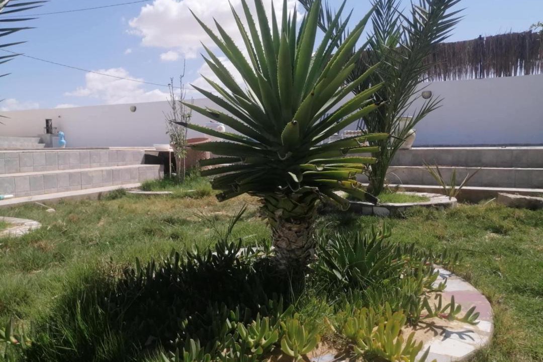 Photo of Others in Hamma