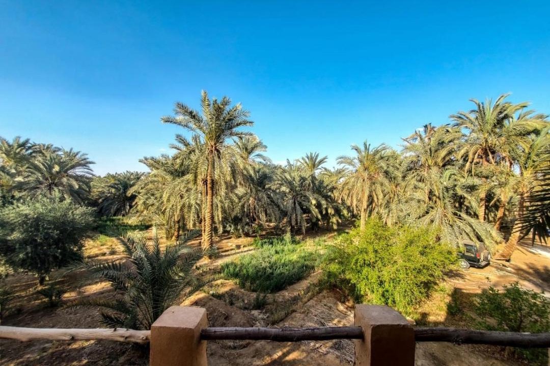 Photo of Others in Siwa