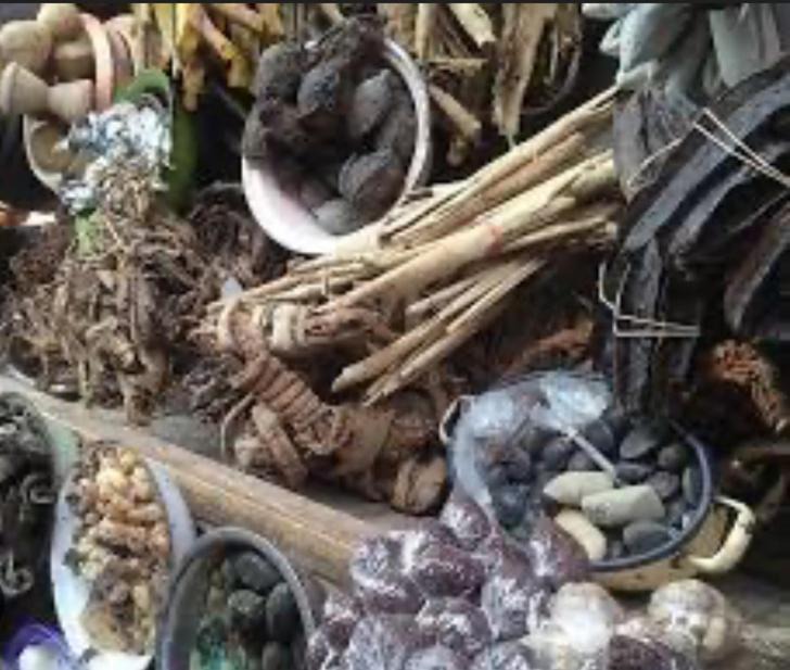 Photo of Others in Ijebu Igbo