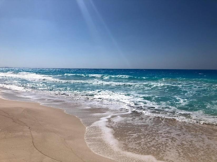 Photo of Others in Marina El Alamein