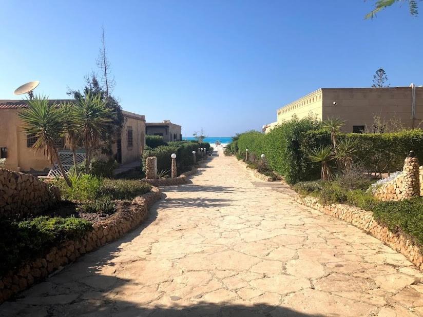 Photo of Others in Marina El Alamein