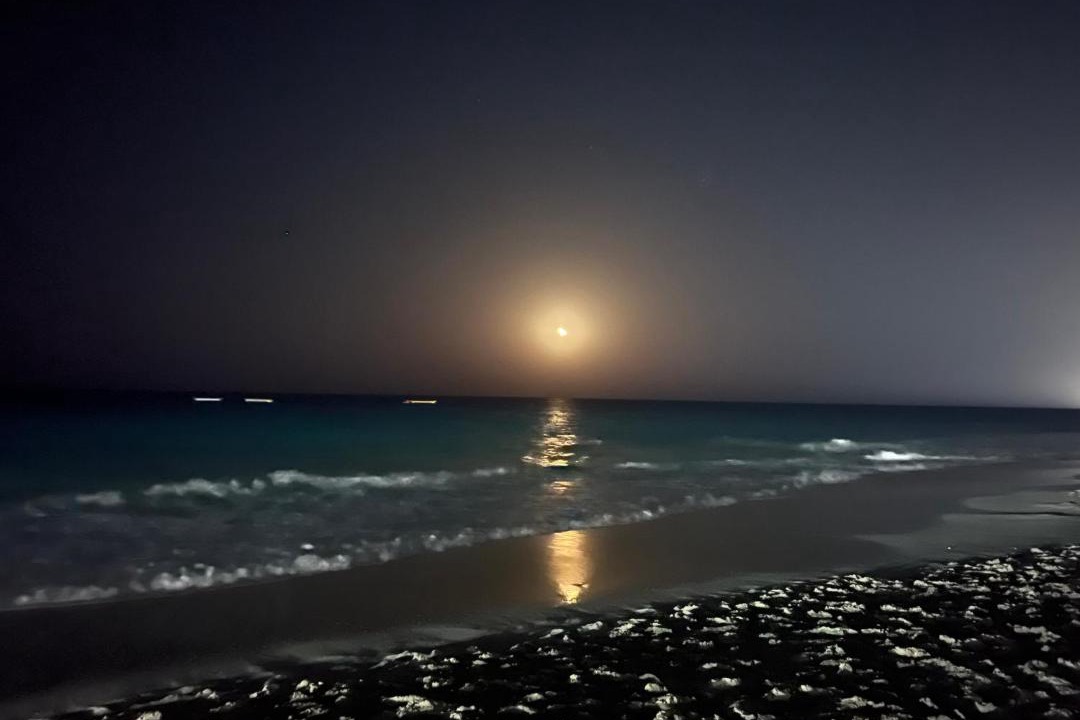 Photo of Others in Marsa Matruh