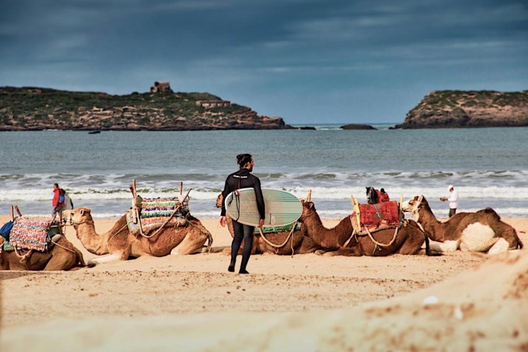 Photo of Others in Sidi Kaouki