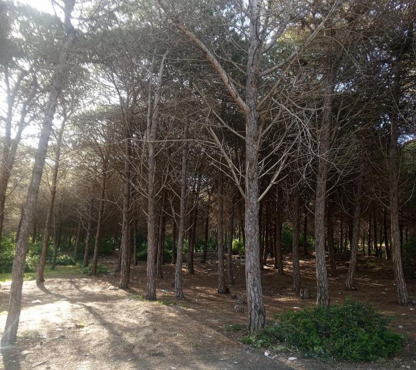 Photo of Outdoor in Ras Jebel