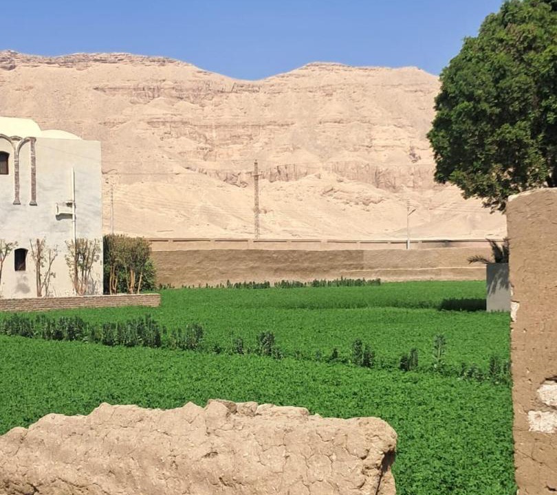 Photo of Others in Luxor