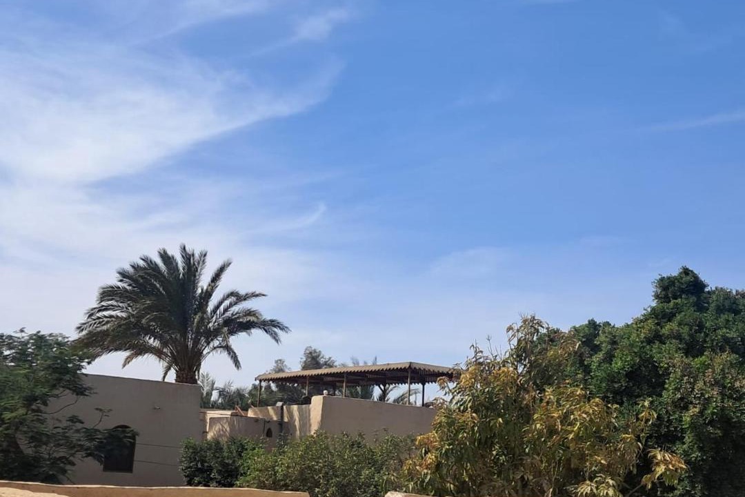 Photo of Others in Luxor