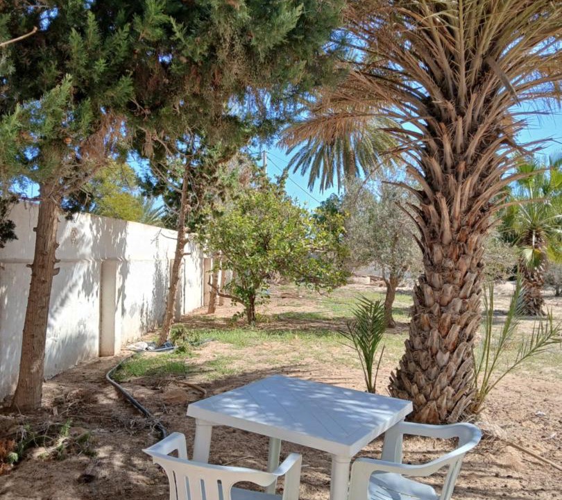 Photo of Others in Midoun