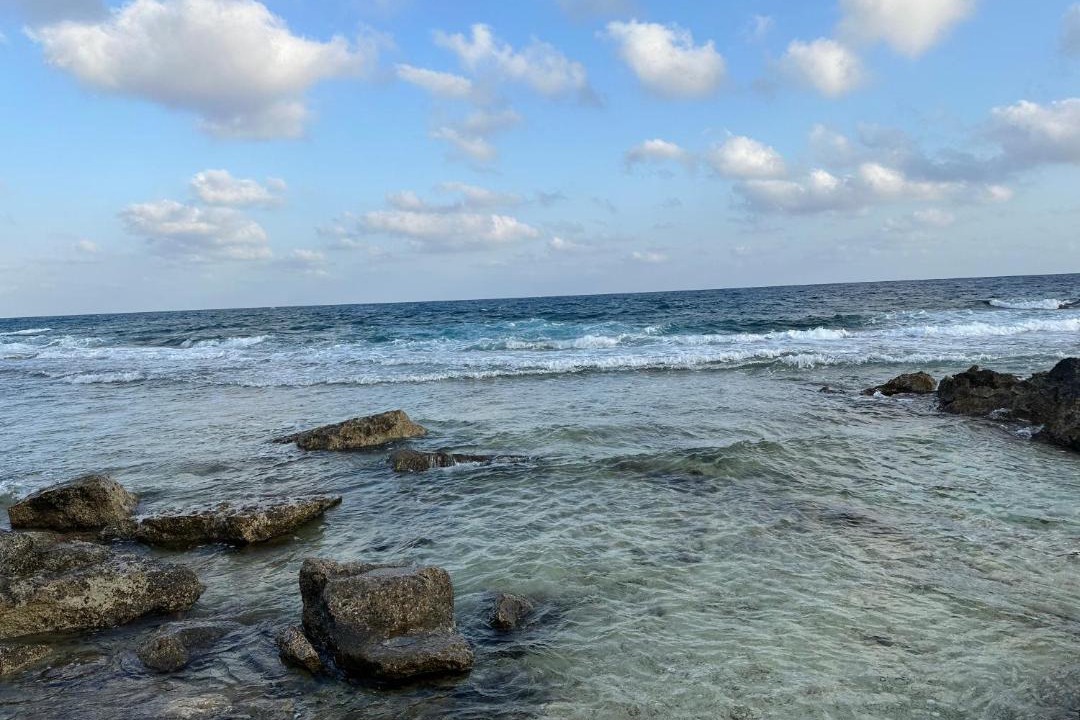 Photo of Others in Marsa Matruh