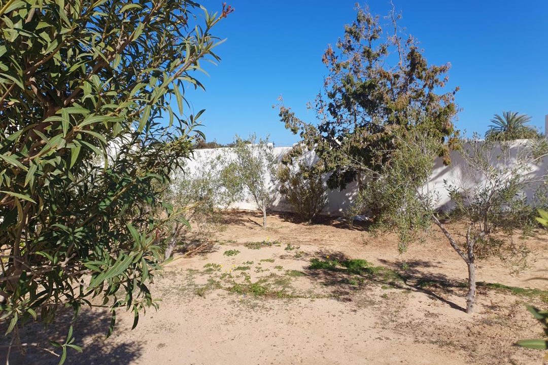 Photo of Others in Mezraia