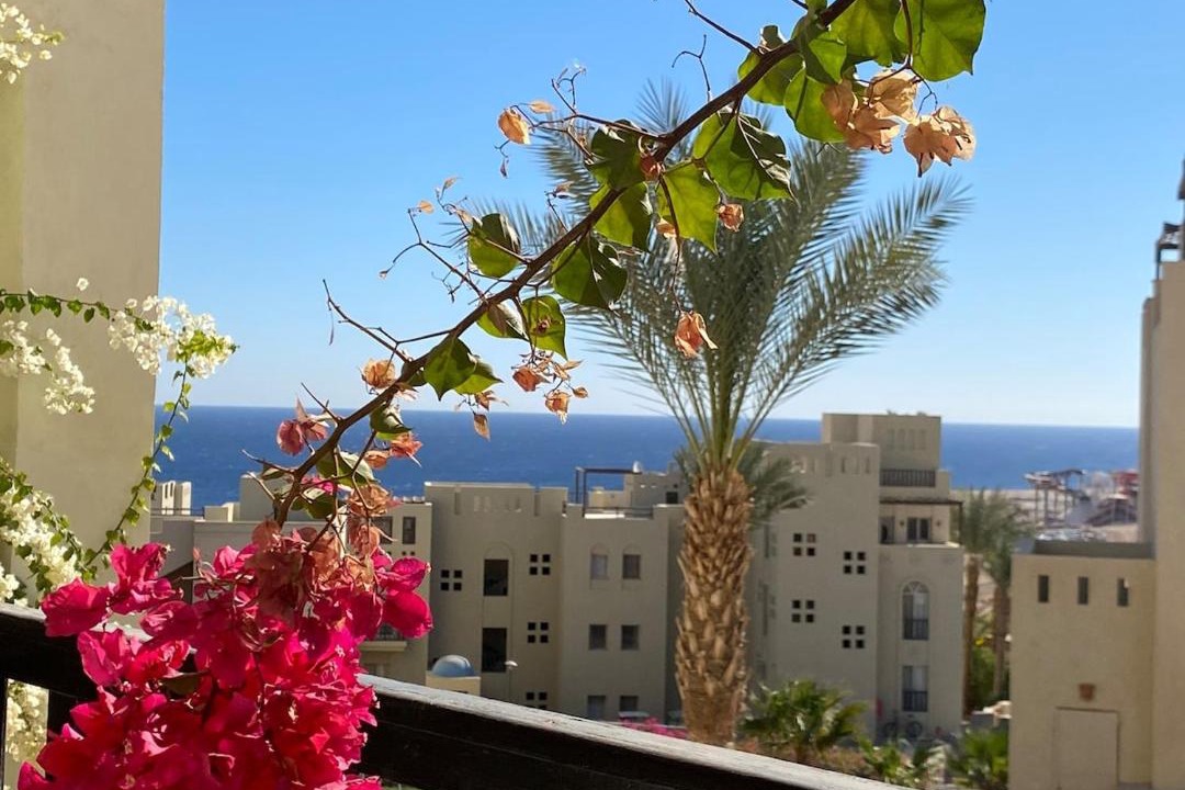 Photo of Patio Balcony in Sahl Hasheeh