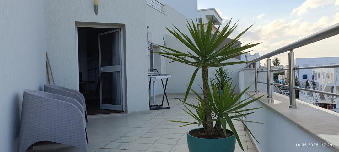 Photo of Others in Monastir