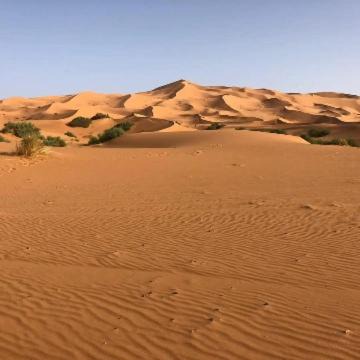Photo of Others in Hassilabied