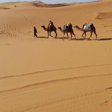 Photo of Others in Hassilabied
