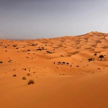 Photo of Others in Hassilabied