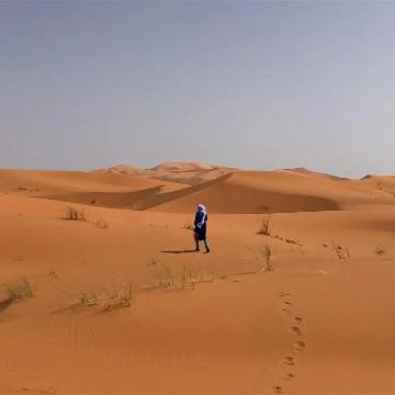 Photo of Human In Picture in Hassilabied
