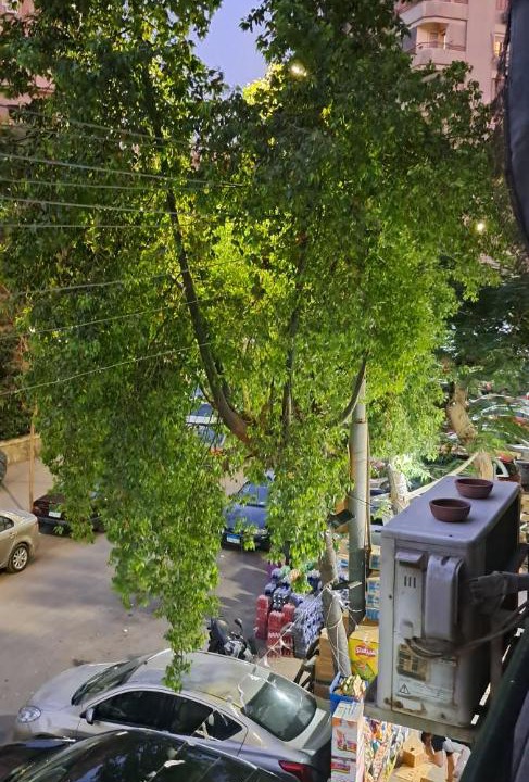 Photo of Others in Heliopolis