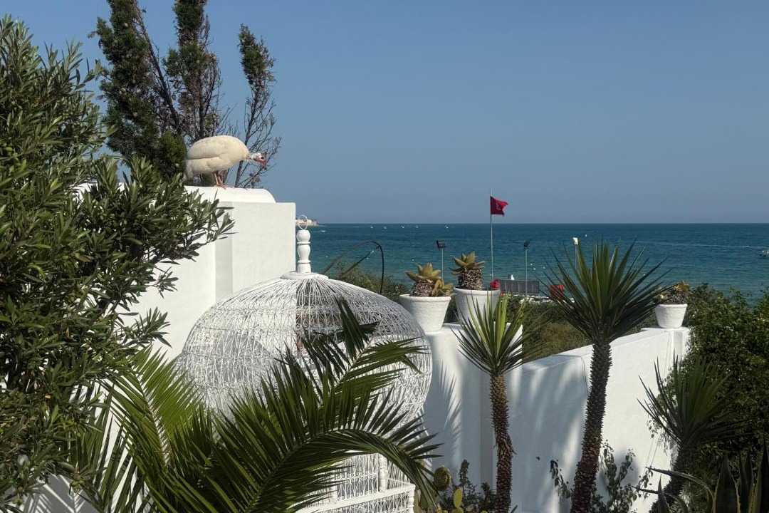 Photo of Others in Hammamet