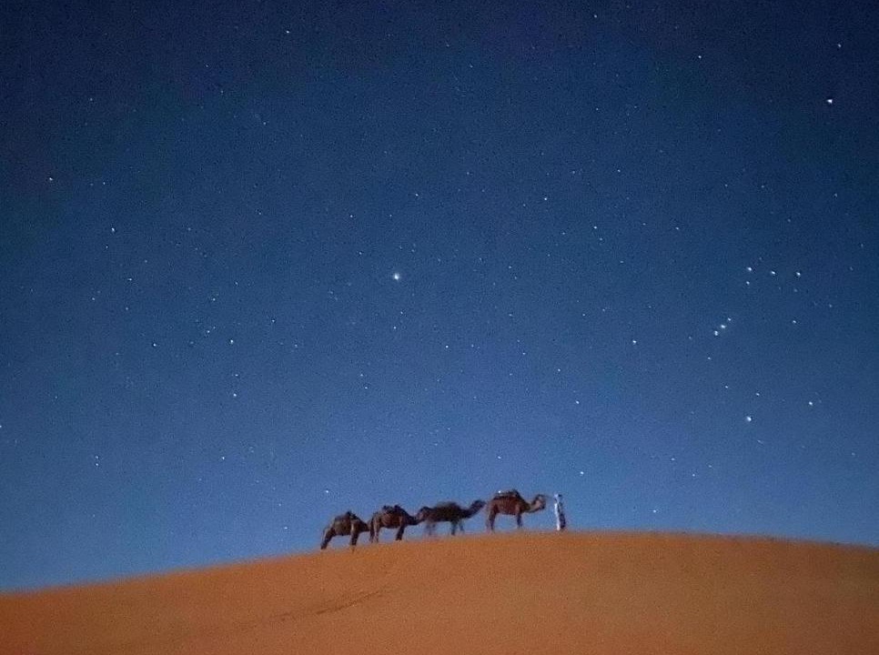 Photo of Others in Taouz