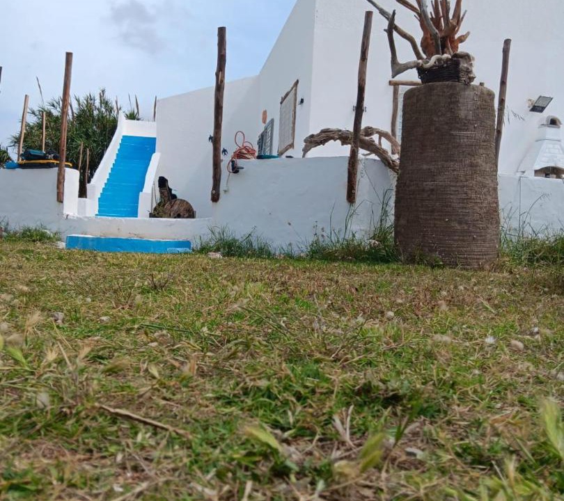 Photo of Others in El Haouaria
