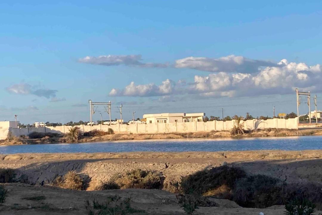 Photo of Others in Shaline
