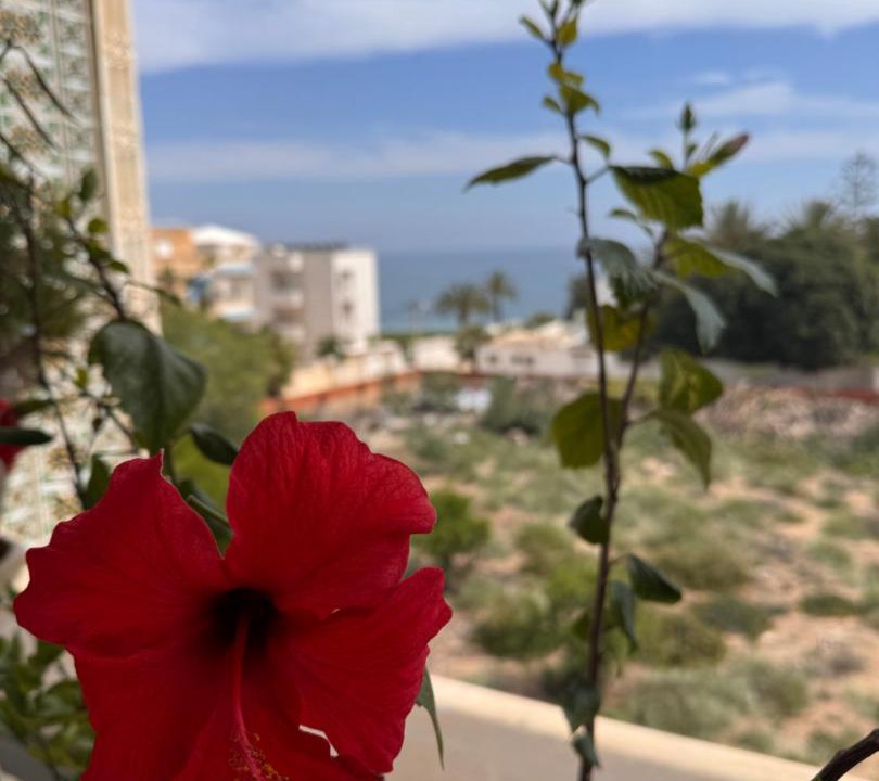 Photo of Patio Balcony in Port El Kantaoui