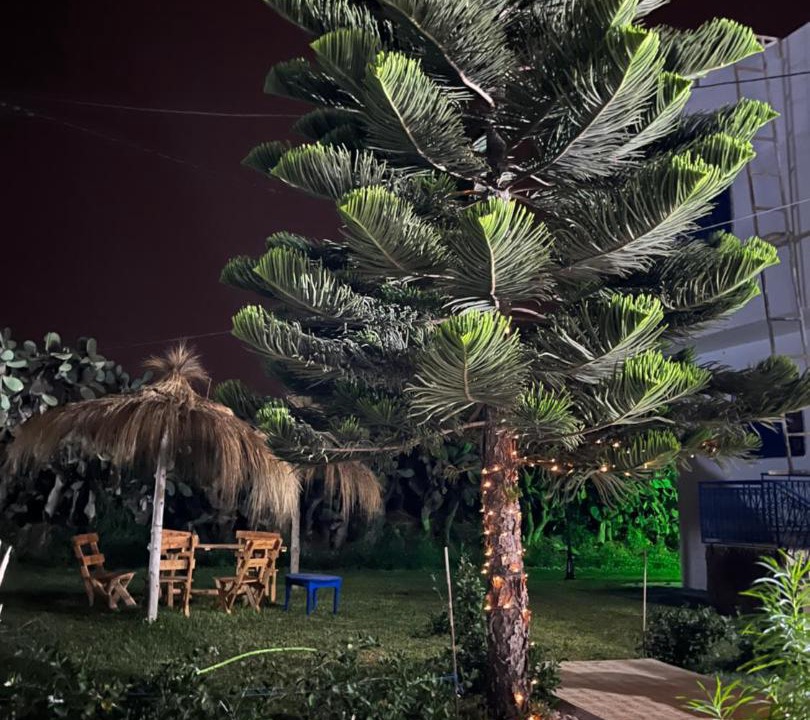Photo of Outdoor in Tazerka