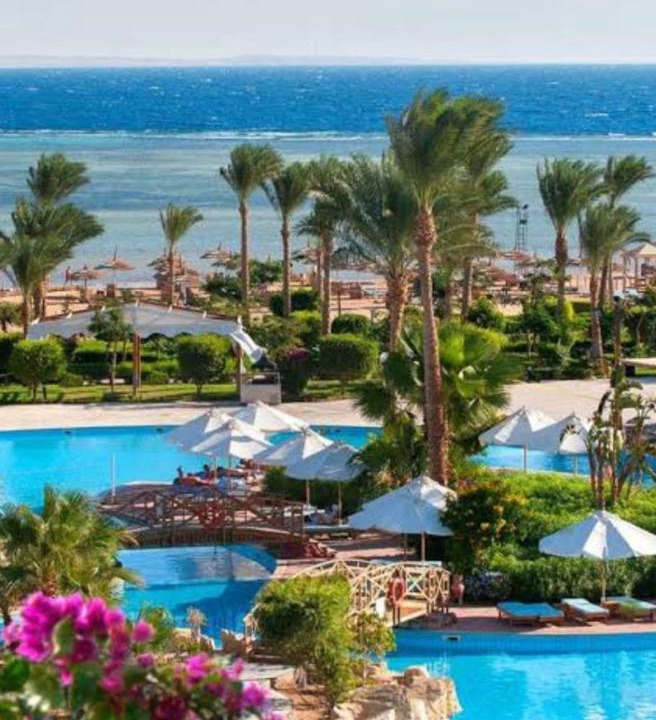 Photo of Others in Sharm El Sheikh