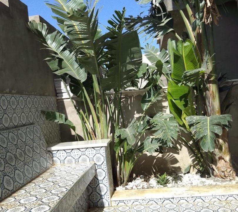 Photo of Patio Balcony in Hamma