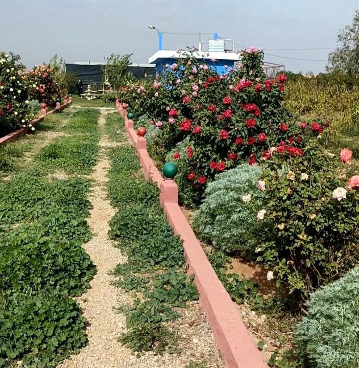 Photo of Outdoor in Ahl Angad